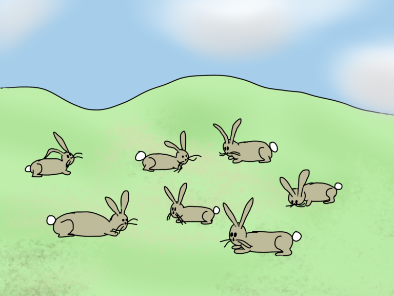 Rabbit seven. 7 Rabbits.